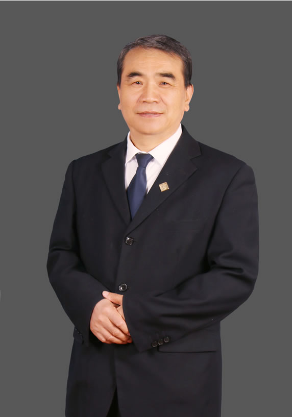 李晨光:常务副会长